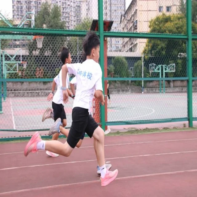 湖人附加赛前景分析与关键因素解读